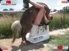 Guy fucks horse in crazy zoo scenes and in the end cums on its tail
